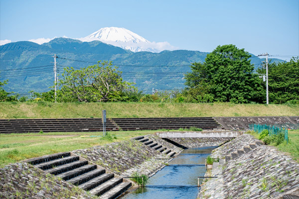 開成水辺スポーツ公園
